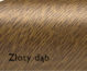 Złoty dąb