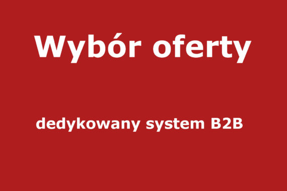 Wybór oferty – dedykowany system B2B